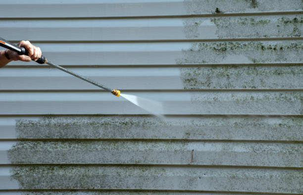Best Vinyl Siding Pressure Washing in Faribault, MN