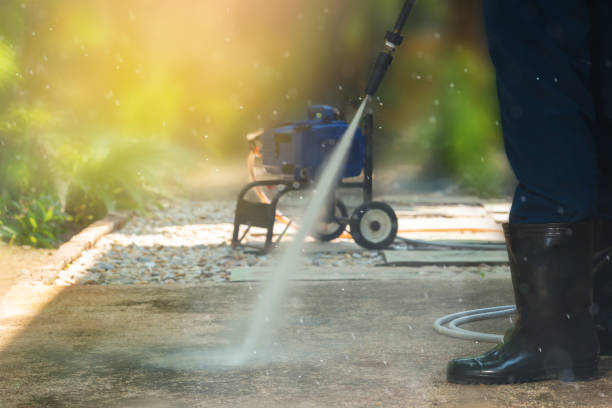 Best Driveway Cleaning and Restoration in Faribault, MN
